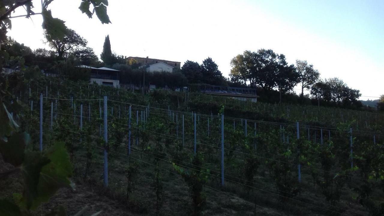 Farm stay Camping Agriturist Sant'anna *
