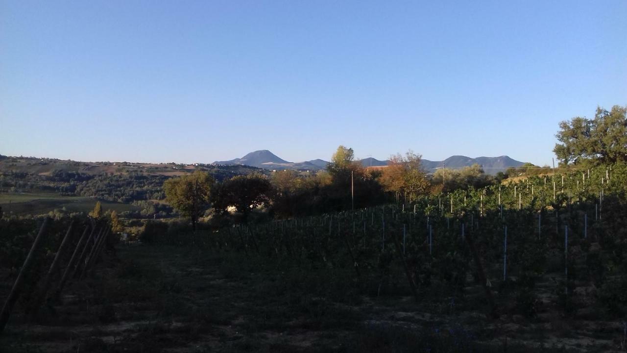 Bauernhof Agriturist Sant'anna